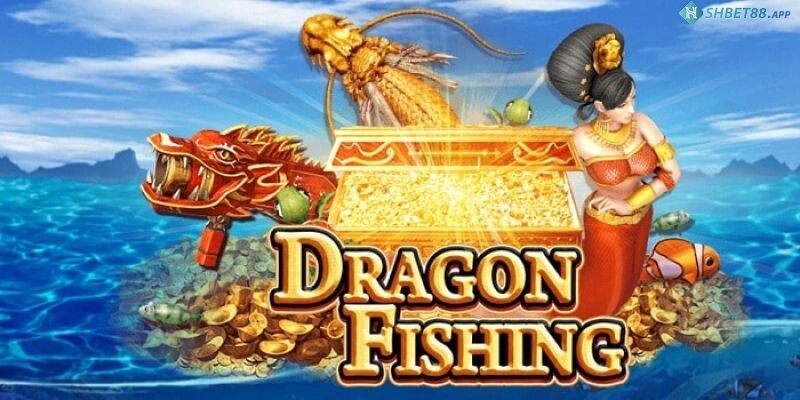 Game Dragon fishing Shbet có khuyến mãi gì hấp dẫn?